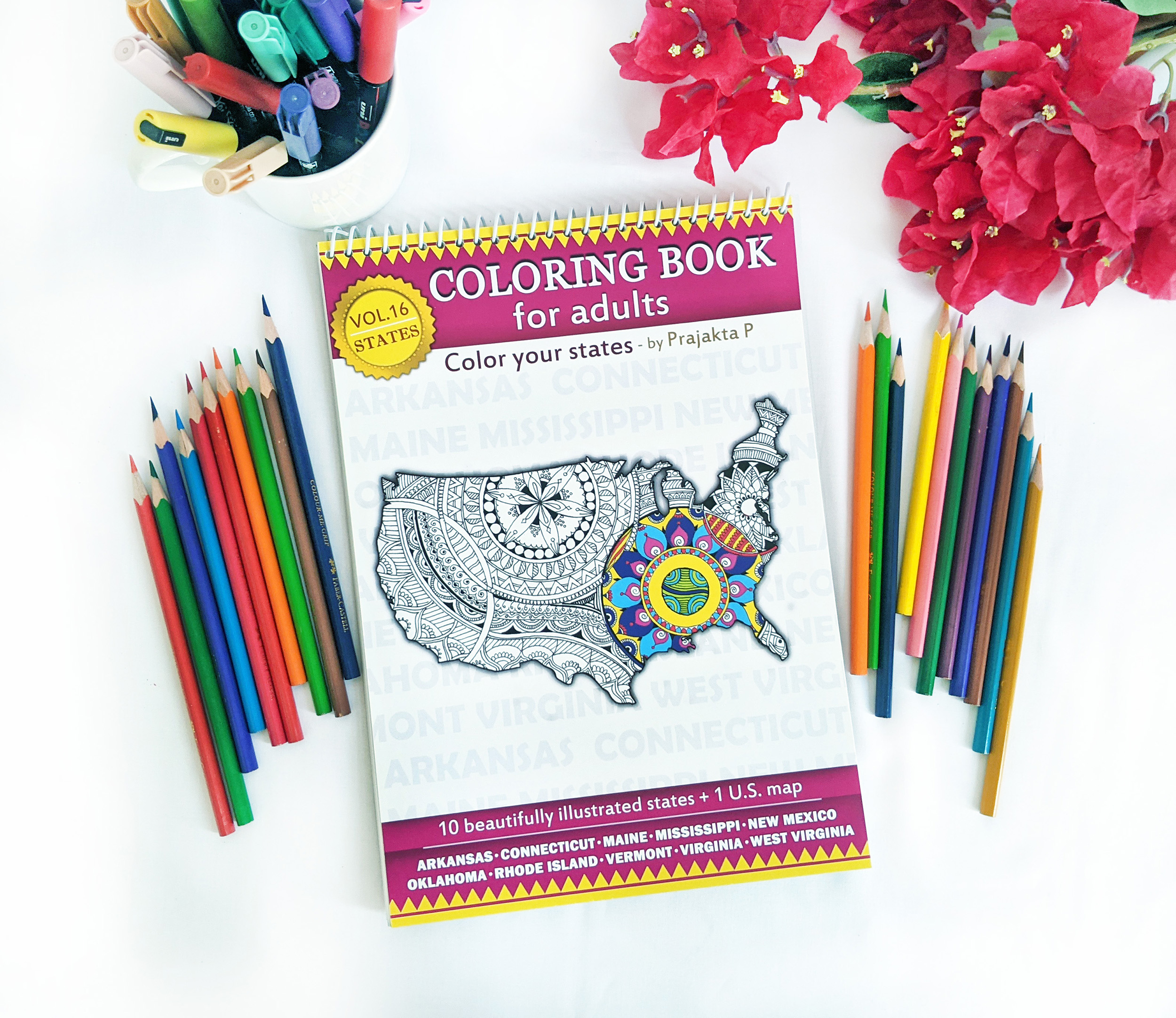 Volume 16 Usa State Maps Adult Coloring Book Different Strokes Arts